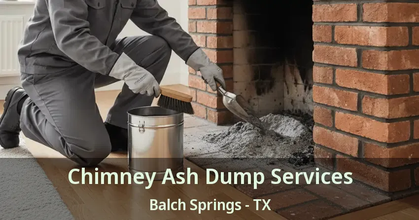 Chimney Ash Dump Services Balch Springs - TX