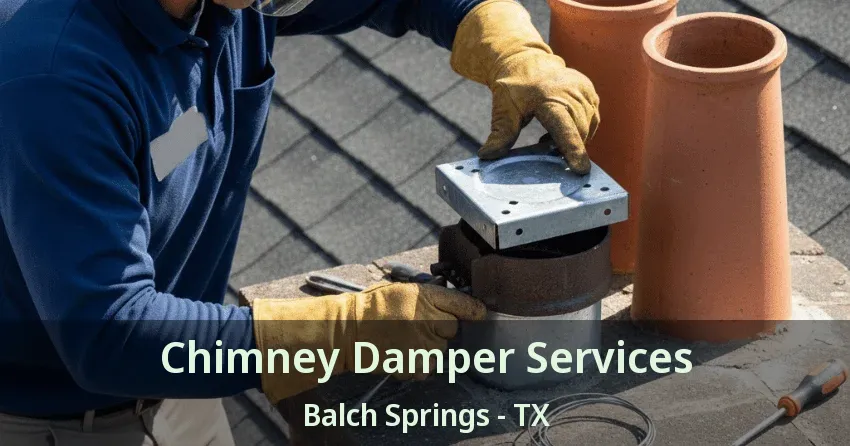 Chimney Damper Services Balch Springs - TX