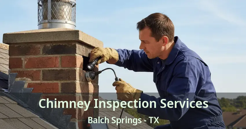 Chimney Inspection Services Balch Springs - TX