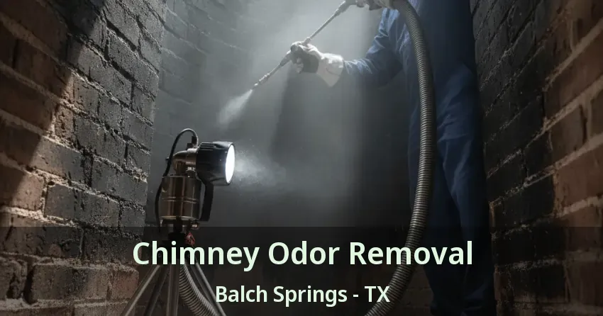 Chimney Odor Removal Balch Springs - TX