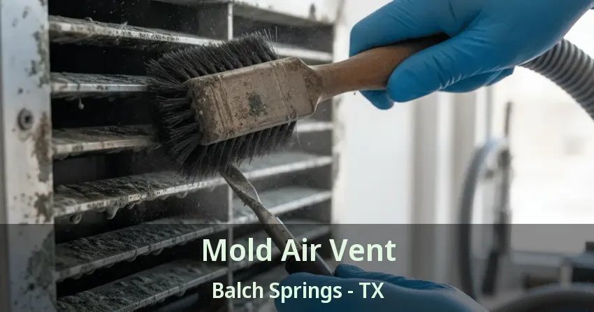 Mold Air Vent Balch Springs - TX