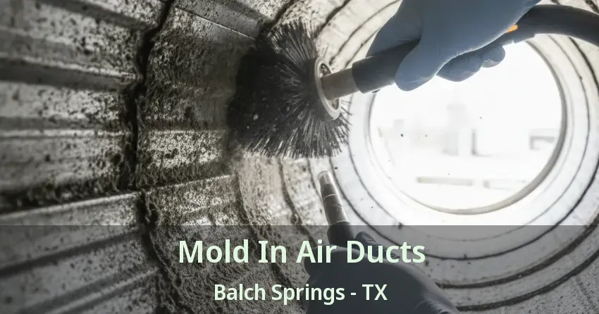 Mold In Air Ducts Balch Springs - TX Mold In Air Ducts Balch Springs - TX