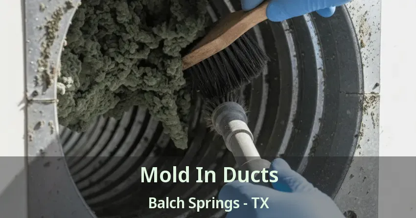 Mold In Ducts Balch Springs - TX