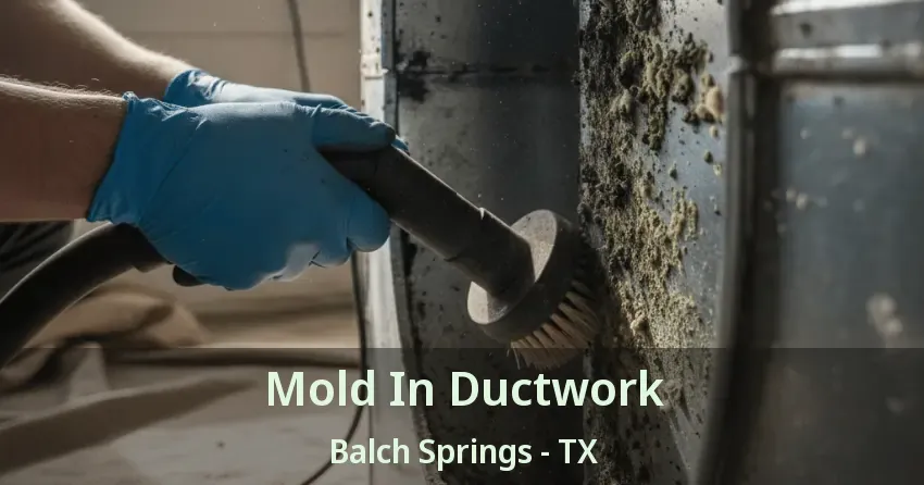 Mold In Ductwork Balch Springs - TX