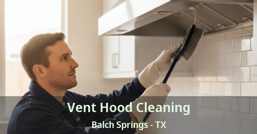 Vent Hood Cleaning Balch Springs - TX
